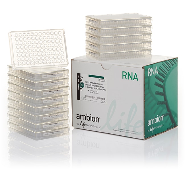 Invitrogen&trade;&nbsp;<i>Silencer</i>&trade; Select Human Drug Transporter siRNA Library