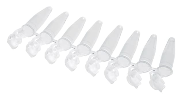 Eppendorf&nbsp;Tubes PCR en PP