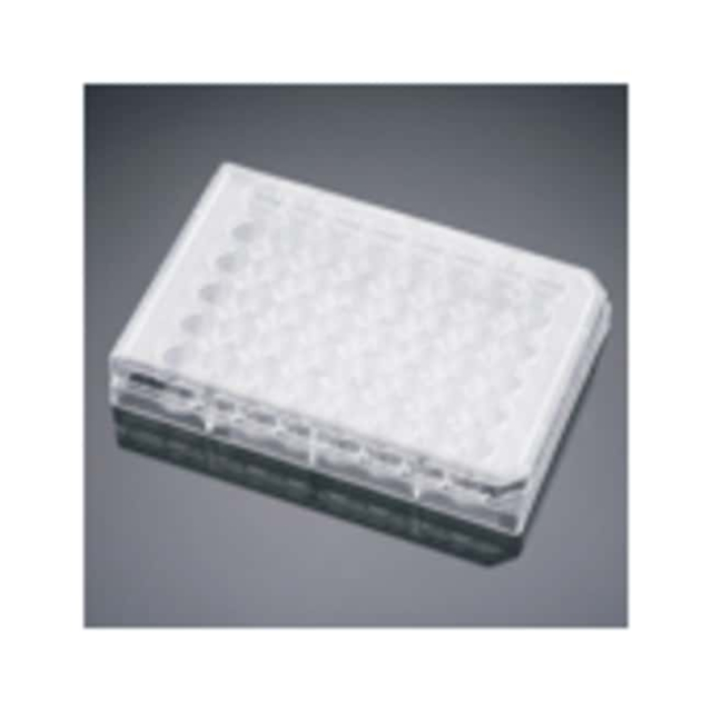 Corning&amp;trade;&amp;nbsp;Plaques multipuits poly-D-lysine BioCoat&amp;trade;