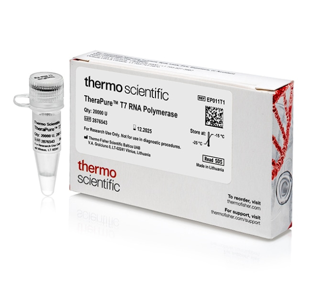 Thermo Scientific&amp;trade;&amp;nbsp;TheraPure&amp;trade; RNA Polymerases