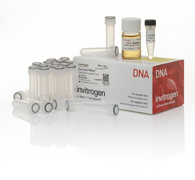 Invitrogen&amp;trade;&amp;nbsp;One Shot&amp;trade; INV&amp;alpha;F&#x27; Chemically Competent &lt;i&gt;E. coli&lt;/i&gt;