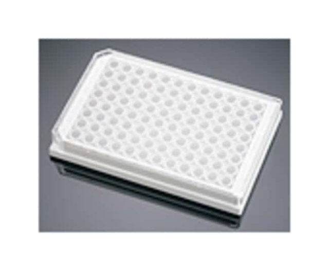  Corning™ Plaques multipuits poly-D-lysine BioCoattrade;