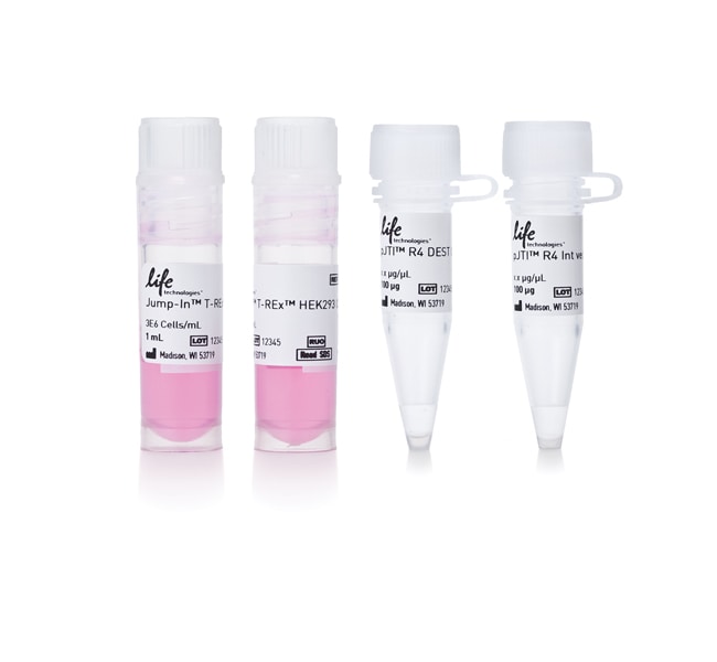 Thermo Scientific&trade;&nbsp;Jump In&trade; T-REx&trade; HEK 293 Kit