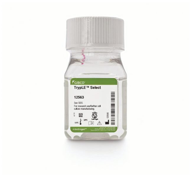 Gibco&amp;trade;&amp;nbsp;Enzyme TrypLE&amp;trade; Select (1X), sans rouge de phénol