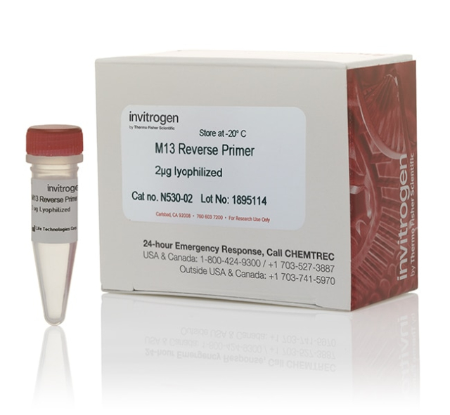 Invitrogen&amp;trade;&amp;nbsp;M13 Reverse Primer