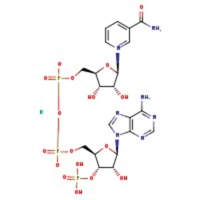 Nicotinamide adénine dinucléotide phosphate, sel monopotassique, ca 90 %