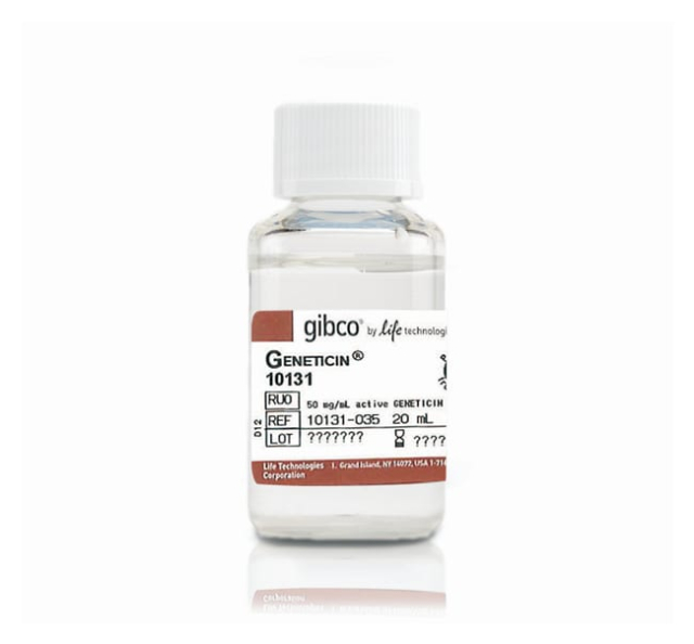 Gibco&amp;trade;&amp;nbsp;Antibiotique sélectif Geneticin&amp;trade; (G418 sulfate) (50 mg/ml)