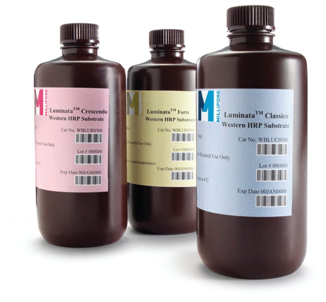 Merck&nbsp;Substrat HRP Western Luminata Forte, 100 ml