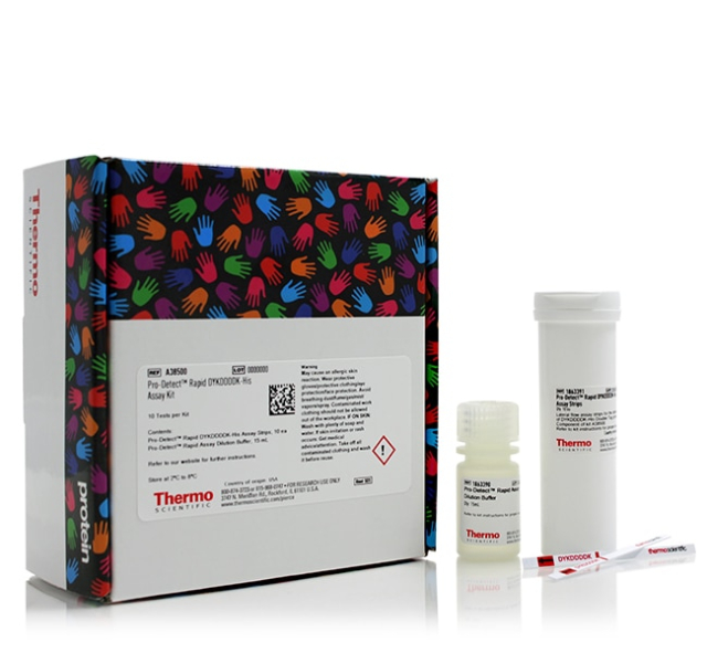 Thermo Scientific&amp;trade;&amp;nbsp;Pro-Detect&amp;trade; Rapid DYKDDDDK-His Assay Kit