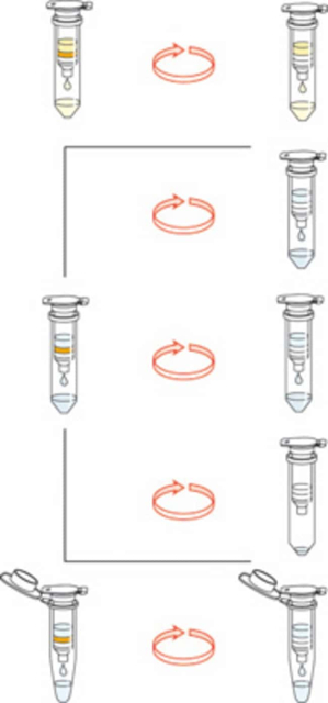 Macherey-Nagel&amp;trade;&amp;nbsp;Kit NucleoSpin Plasmid QuickPure&amp;trade;