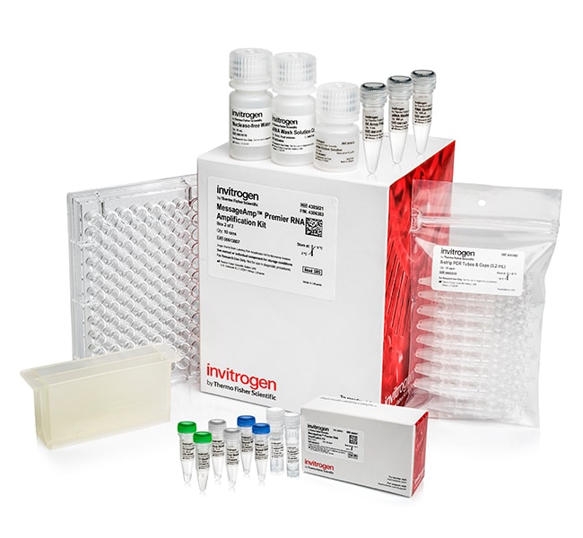 Invitrogen™ MessageAmp™ Premier RNA Amplification Kit