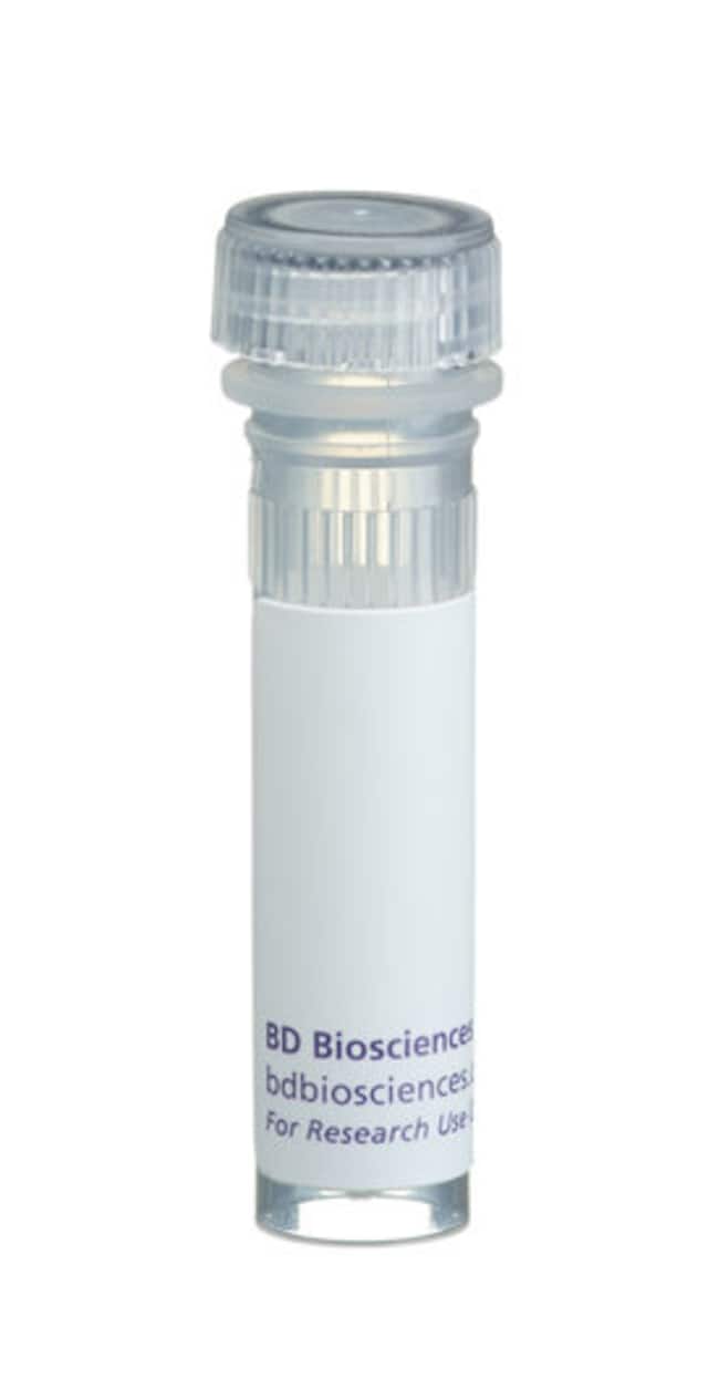 BD&nbsp;Transduction Laboratories Mouse Kidney Lysate
