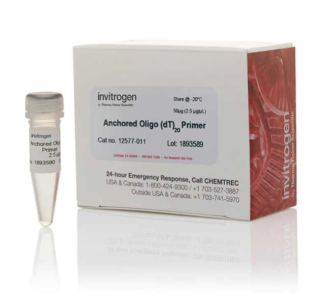 Invitrogen&amp;trade;&amp;nbsp;Anchored Oligo(dT)&lt;sub&gt;20&lt;/sub&gt; Primer