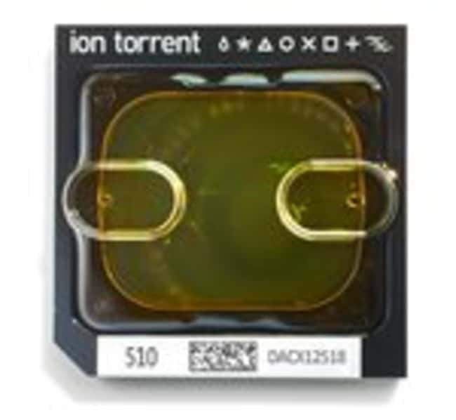 Kit de puces Ion 510&trade; Food Protection
