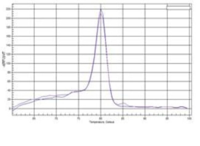 Novus Biologicals&trade;&nbsp;Chromata ChIP Histone H3 [Dimethyl Lys9] Kit (ChIP)