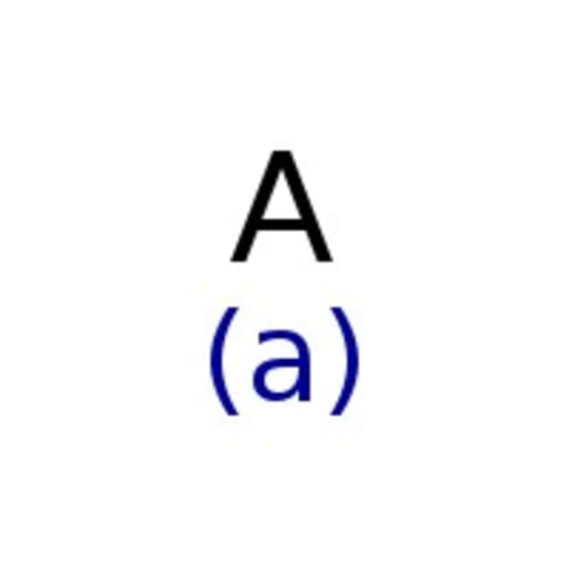  Tamis moléculaires, 4A, poudre, Thermo Scientific Chemicals
