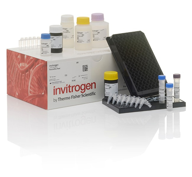 Invitrogen&amp;trade;&amp;nbsp;ProcartaPlex&amp;trade; Human Coronavirus Ig Total Panel, 11plex