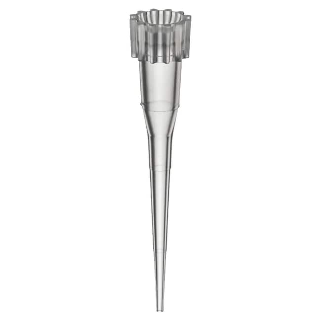 Labcon&trade;&nbsp;Pointes MetalFree&trade; non stériles, adaptation universelle, 10 &mu;L, sans filtre