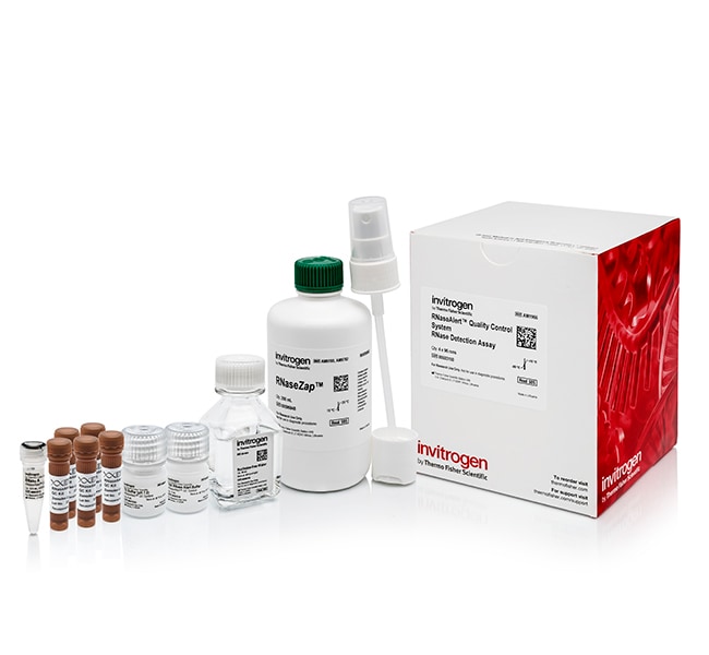 Invitrogen™ Système de CQ RNaseAlert™