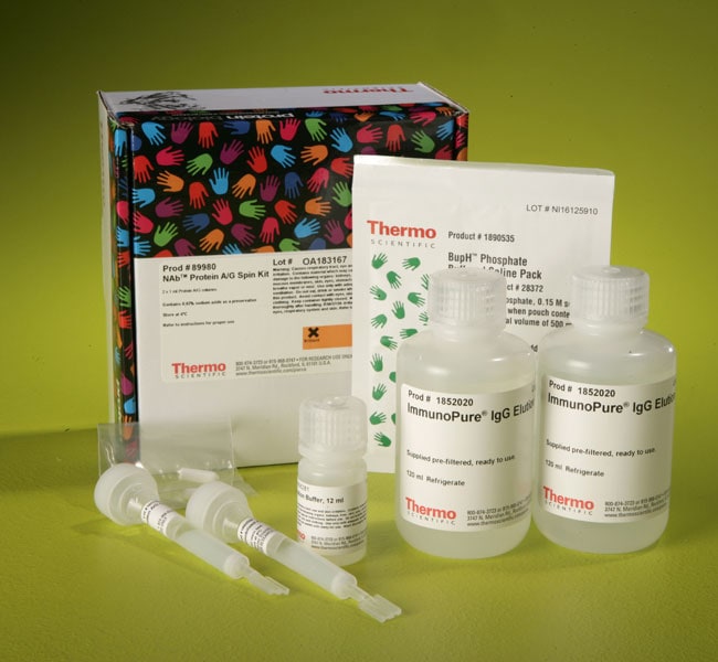 Thermo Scientific™ NAb™ Protein A/G Spin Kit, 1 mL