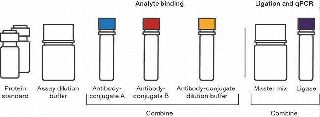  Invitrogen™ Human cMET ProQuantum Immunoassay Kit 