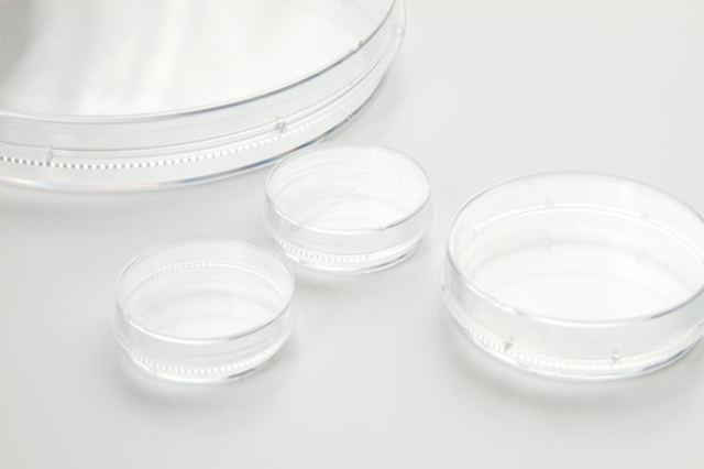 Thermo Scientific&amp;trade;&amp;nbsp;Boîtes de culture Nunc&amp;trade; EasYDish&amp;trade;