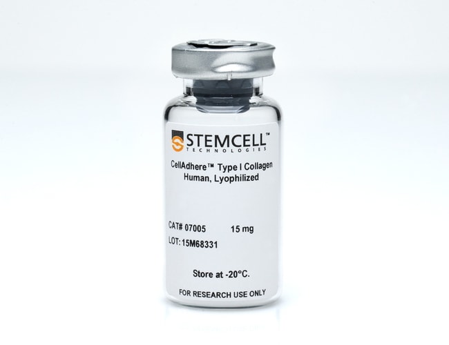 STEMCELL Technologies&nbsp;CellAdhere&trade; Type I Collagen, Human, Lyophilized