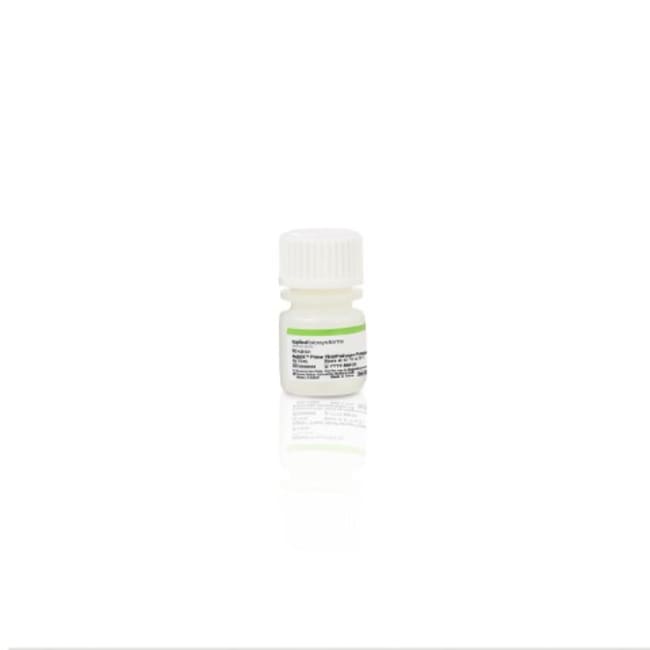 Applied Biosytstems&trade;&nbsp;MagMAX&trade; Prime Viral/Pathogen Proteinase K