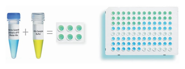 Thermo Scientific&amp;trade;&amp;nbsp;Luminaris Color HRM qPCR Master Mix