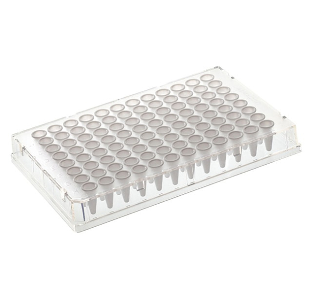 Thermo Scientific&amp;trade;&amp;nbsp;Armadillo PCR Plate, 96-well, orange, clear wells, barcoded