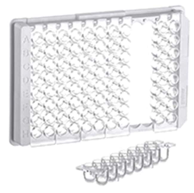 Greiner Bio-One Plaques à barrettes à fond rond en polystyrène à 96puits, 2 x 8 barrettes