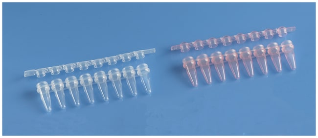 Fisherbrand&trade;&nbsp;Bandes de tube PCR 0,2 ml