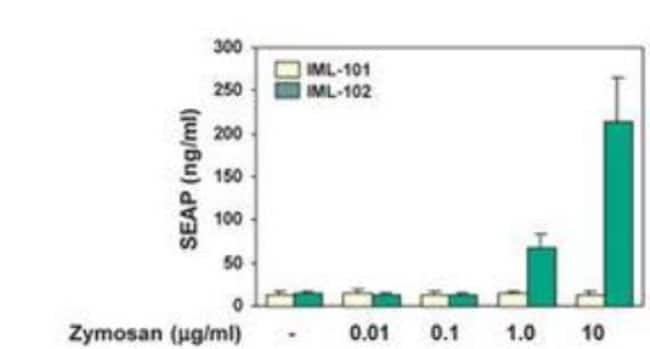 Novus Biologicals&trade;&nbsp;Zymosan, TLR2 Ligand