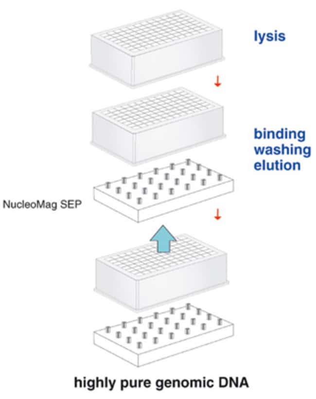 Macherey-Nagel Bioanalysis&trade;&nbsp;NucleoMag 96 Blood