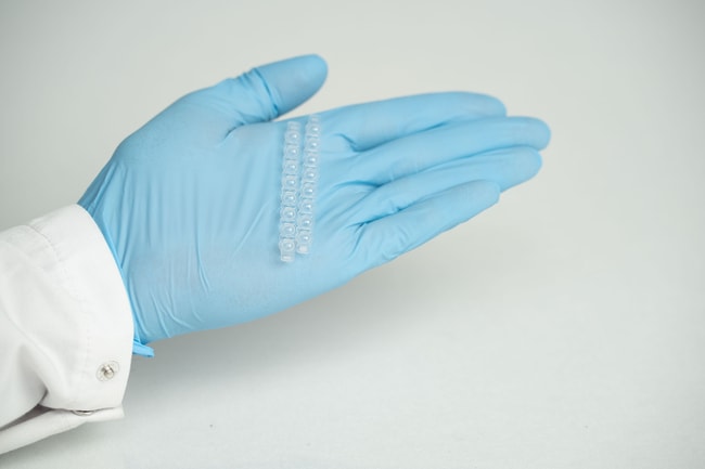 Thermo Scientific&trade;&nbsp;Thermo Scientific&trade; Lysis Caps, Domed