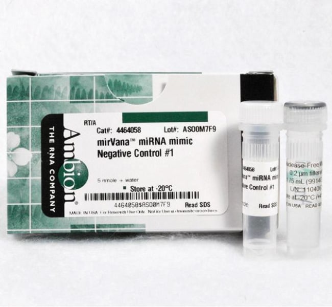 Invitrogen™ Contrôle négatif nº 1 de mimétisme du micro-ARN <i>mir</i>Vana™