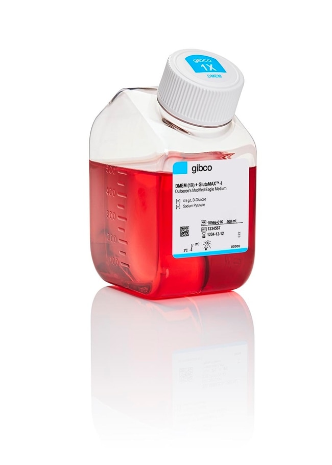 Gibco™ DMEM, haute teneur en glucose, supplément de GlutaMAX™