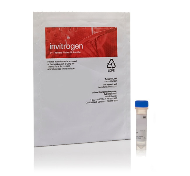 Molecular Probes&amp;trade;&amp;nbsp;Avidin, NeutrAvidin&amp;trade;, Alexa Fluor&amp;trade; 350 conjugate