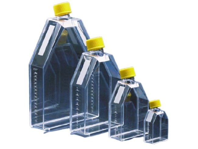 TPP™ Tissue Culture Flasks