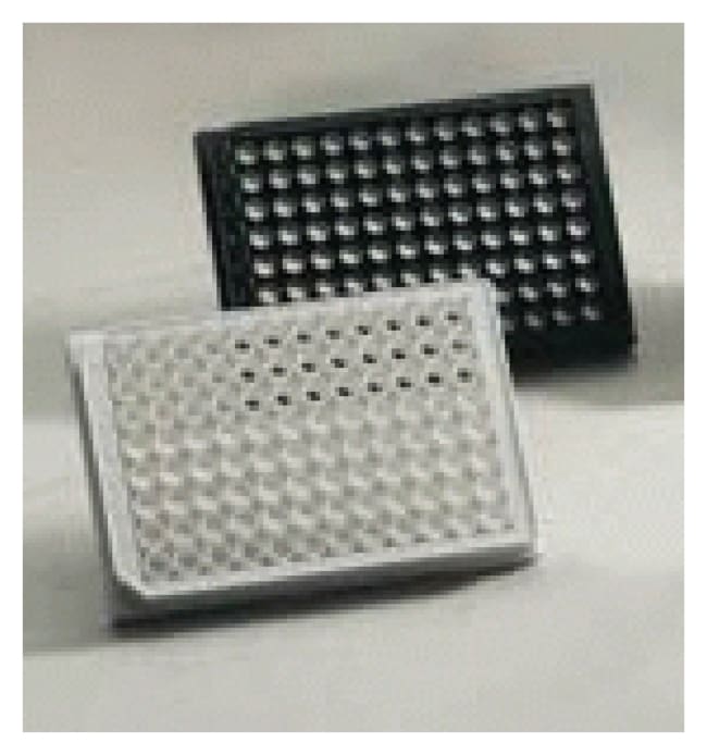 Corning&trade;&nbsp;Microplaque BioCoat&trade; à fond plat, avec 96 puits, traitée en collagène de type I