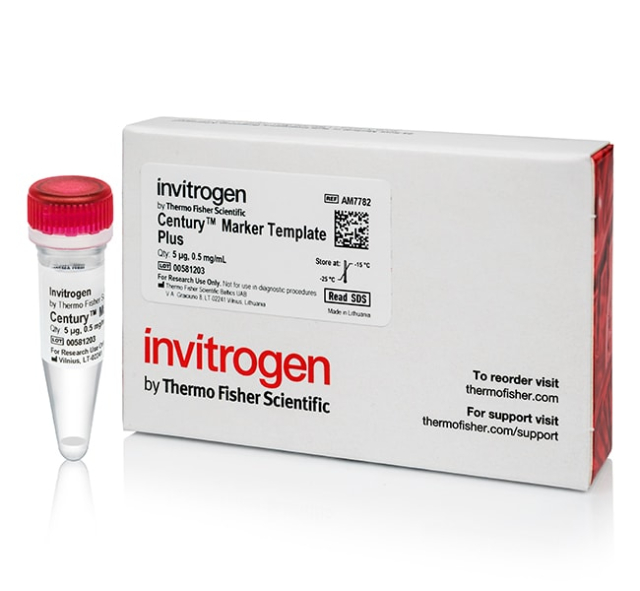 Invitrogen&amp;trade;&amp;nbsp;RNA Century&amp;trade;-Plus Marker Templates