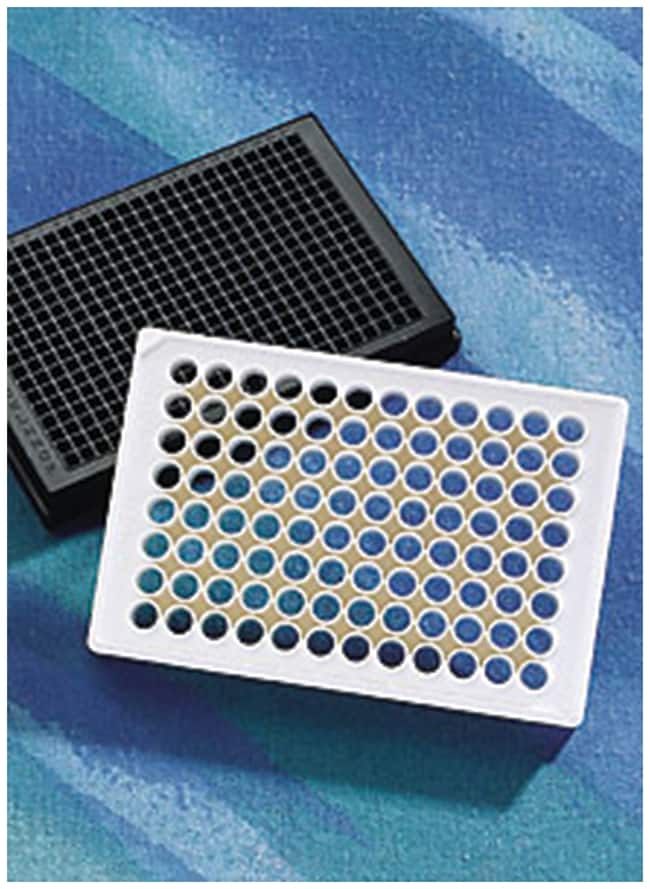 Corning&trade;&nbsp;Microplaque à fond plat traitée à la Poly-L-lysine à 96 puits
