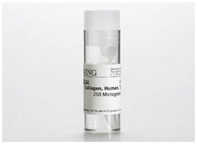 Corning&amp;trade;&amp;nbsp;Collagen III, Human