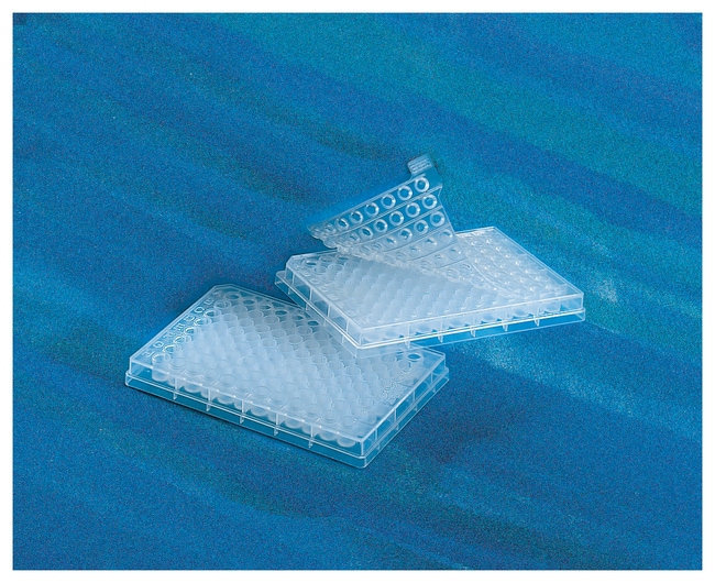 Corning&trade;&nbsp;Plaques en PP