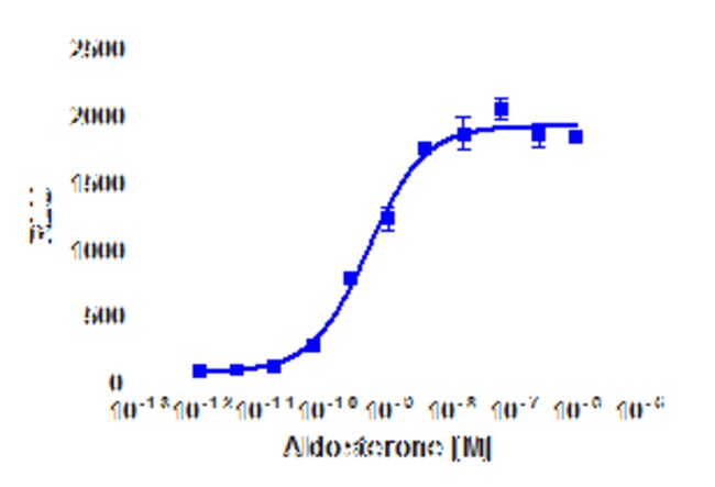 DiscoverX&nbsp;Aldosterone