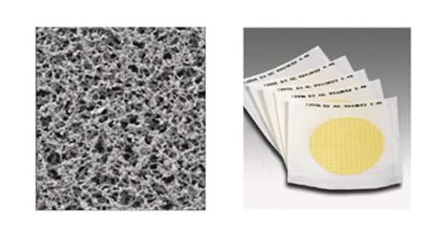 Sartorius Stedim Biotech&trade;&nbsp;Cellulose Nitrate (Mixed Cellulose Ester) Membrane Filters, Gridded, Grey /White 0.45&mu;m