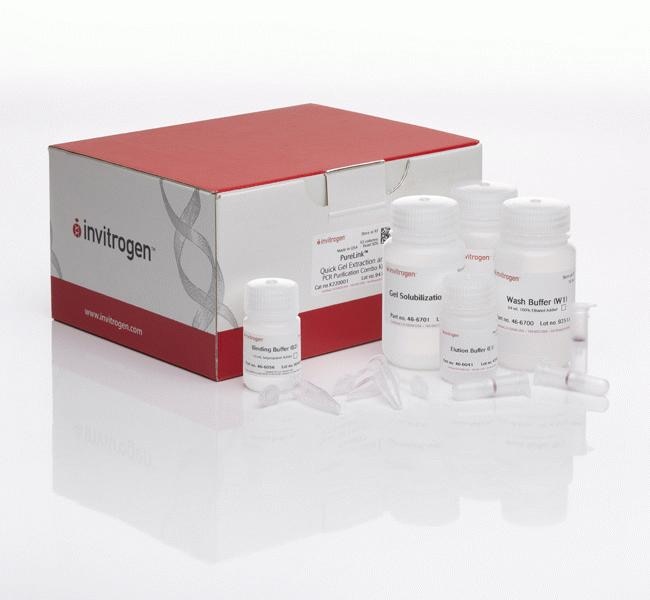 Invitrogen™ Kit combiné d’extraction rapide de gel et de purification PCR PureLink™