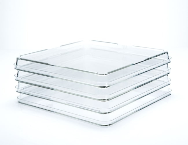 STEMCELL Technologies&amp;nbsp;245 mm x 245 mm Square Treated Tissue Culture Dishes