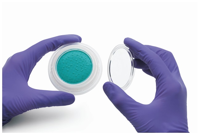 Sartorius&nbsp;Milieux Microsart&trade;