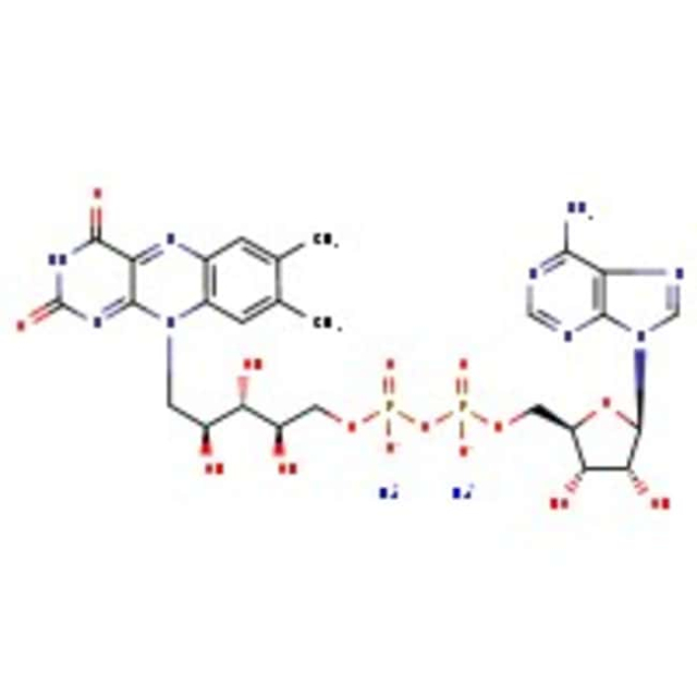  Flavine adénine dinucléotide, sel de disodium hydraté, 94 % (poids sec), eau <10 %, Thermo Scientific Chemicals